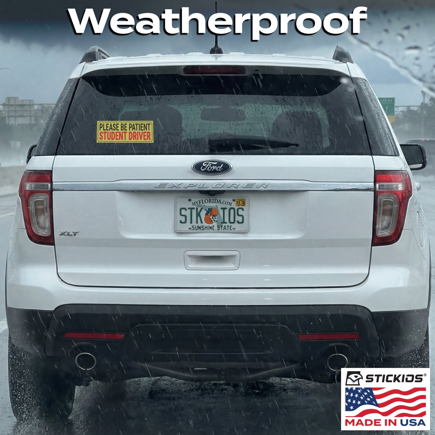 SD Window Clings (2-Pack)