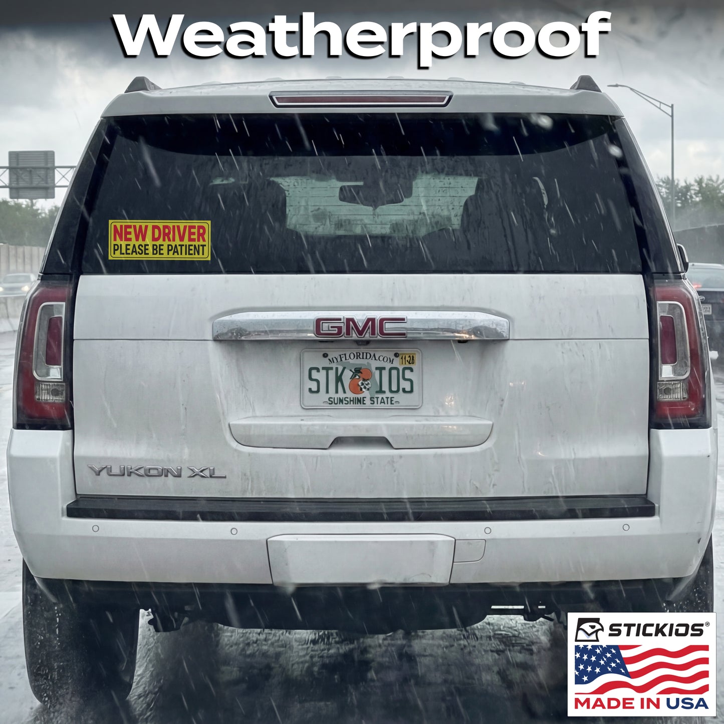 ND Window Clings (2-Pack)