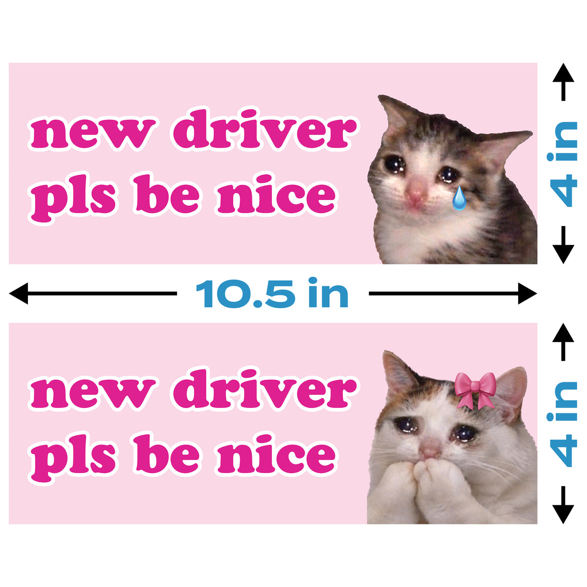ND Cat Meme (2-Pack)