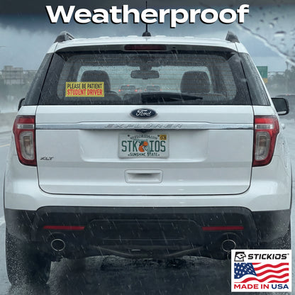 SD Window Clings (2-Pack)