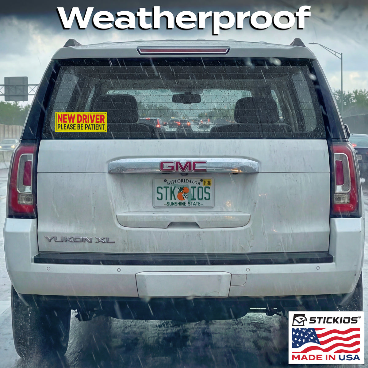 ND Window Clings (2-Pack)