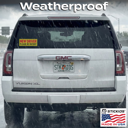ND Window Clings (2-Pack)