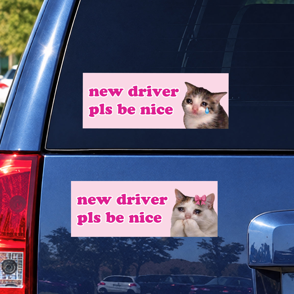 ND Cat Meme (2-Pack)