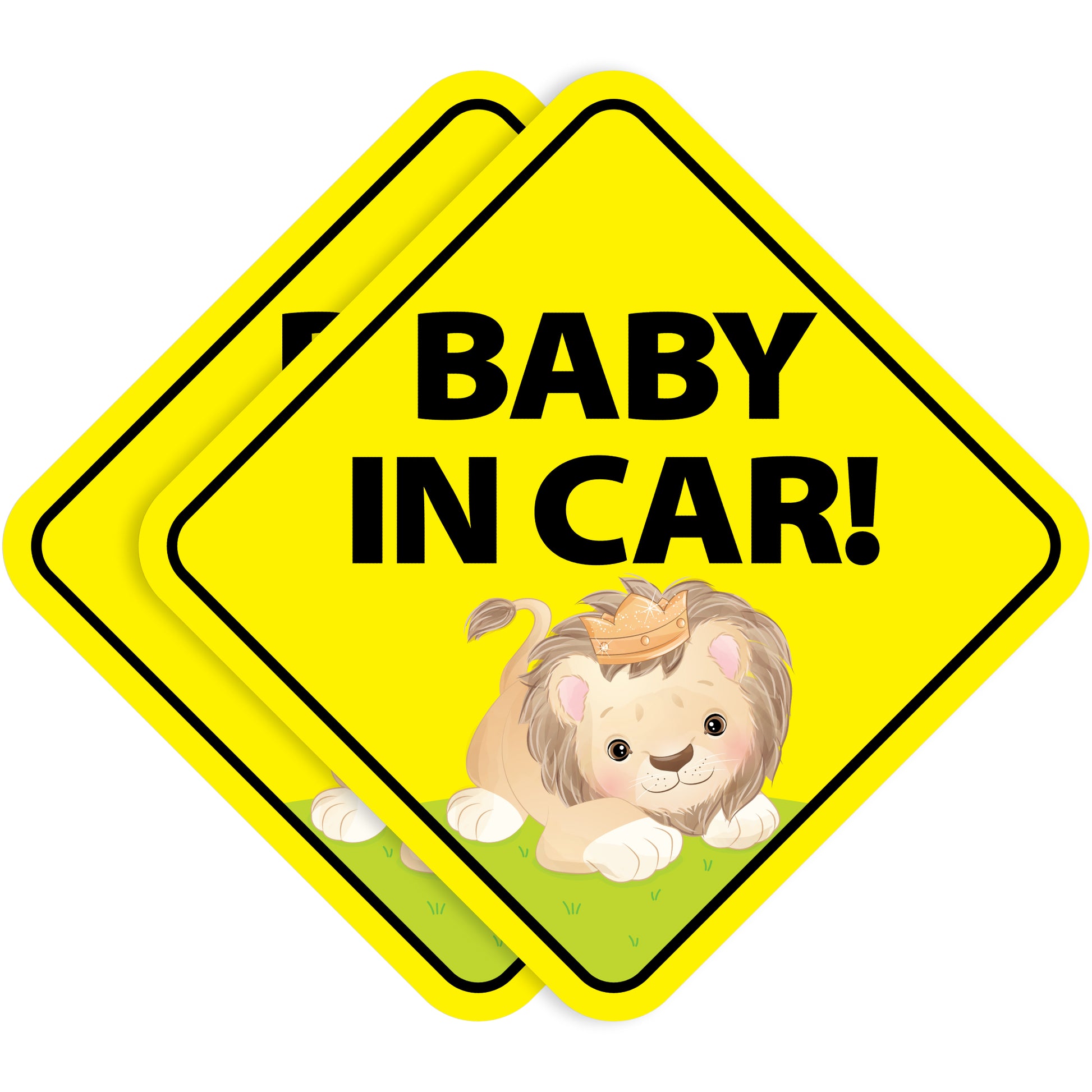 Baby Lion