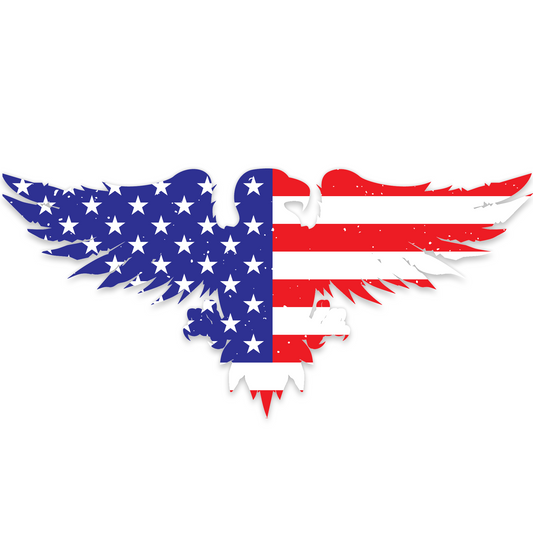 American Flag Eagle 1
