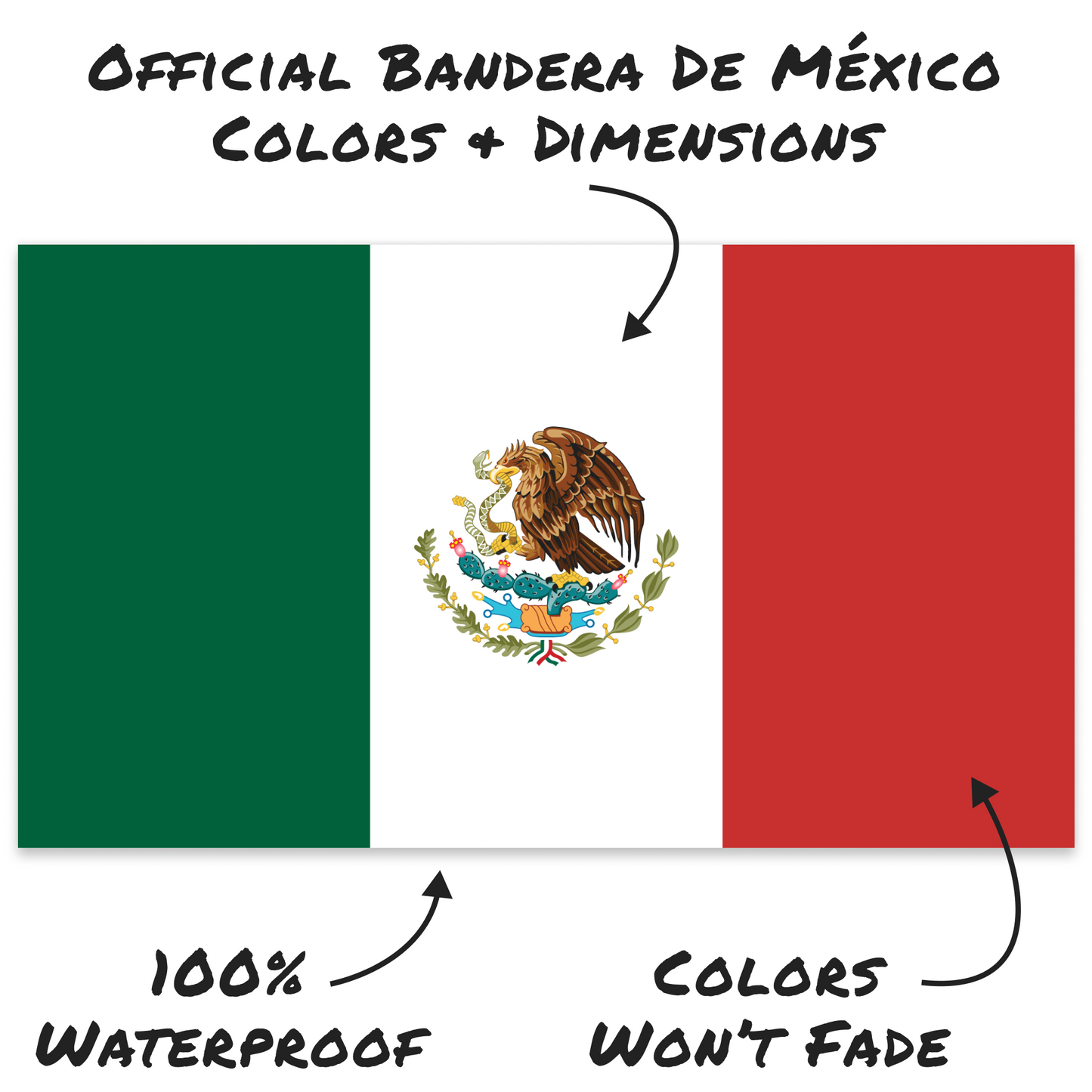 Bandera De Mexico 2