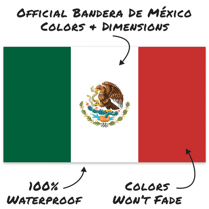 Bandera De Mexico 2