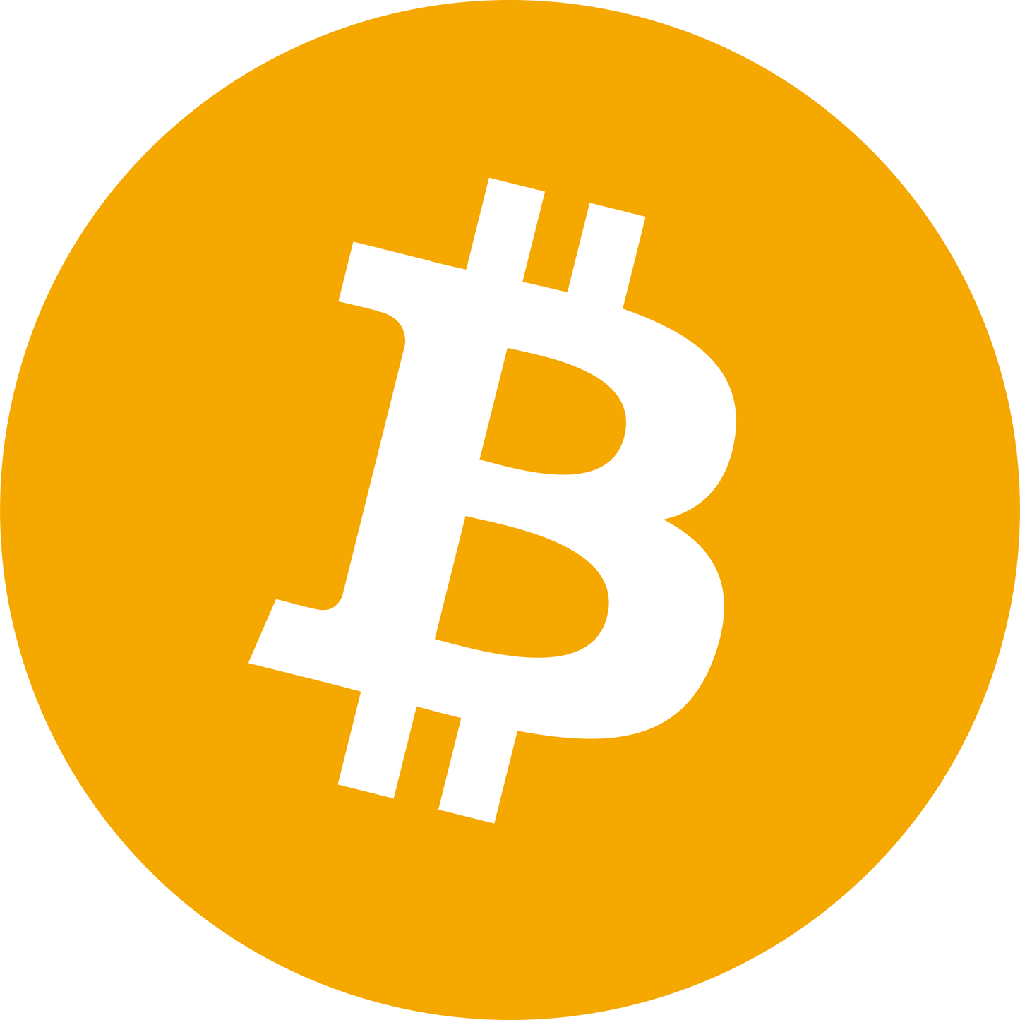 Bitcoin Sticker 1