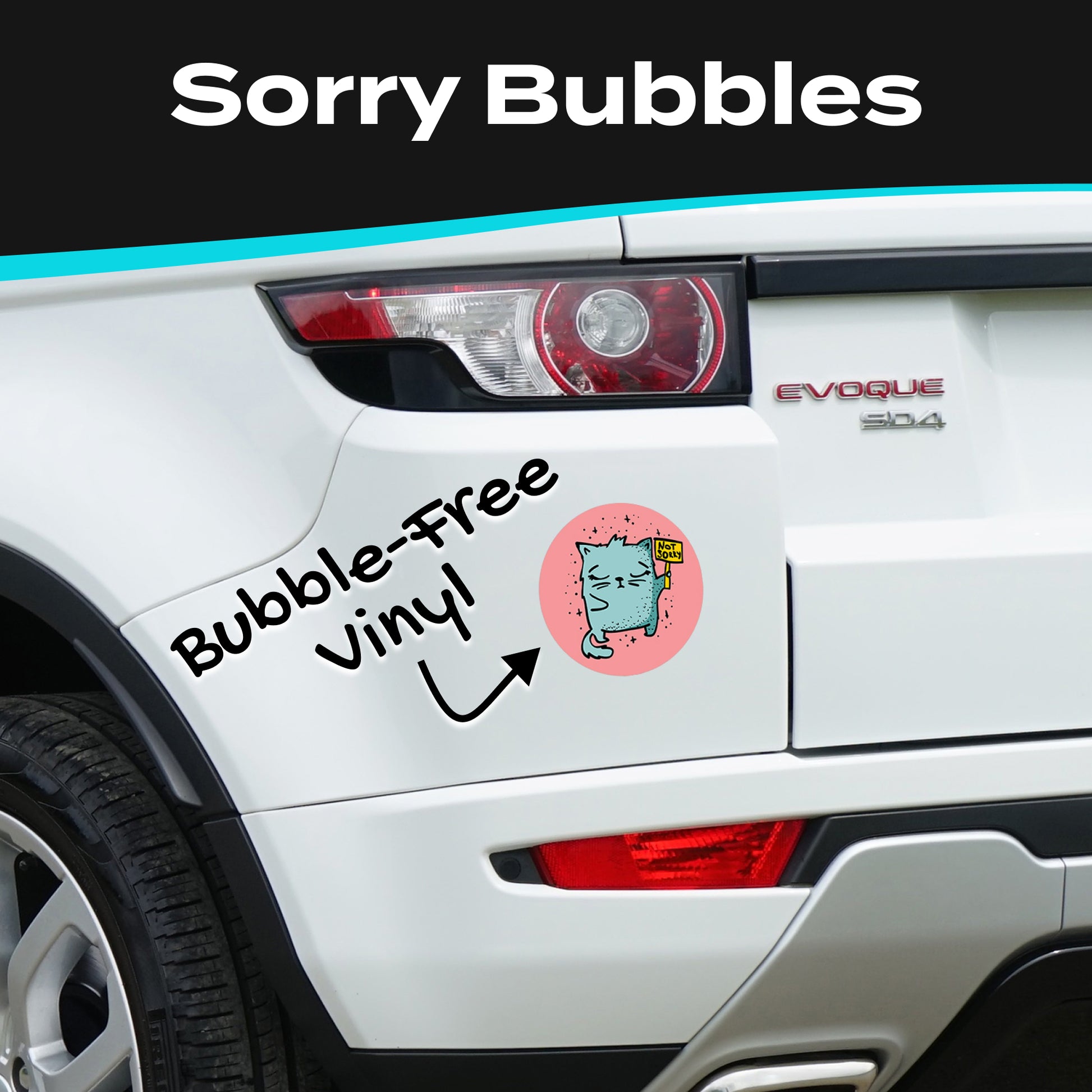 Not Sorry 3