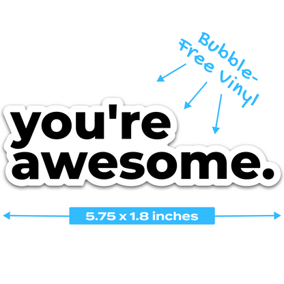 Youre Awesome 2 Pack 4